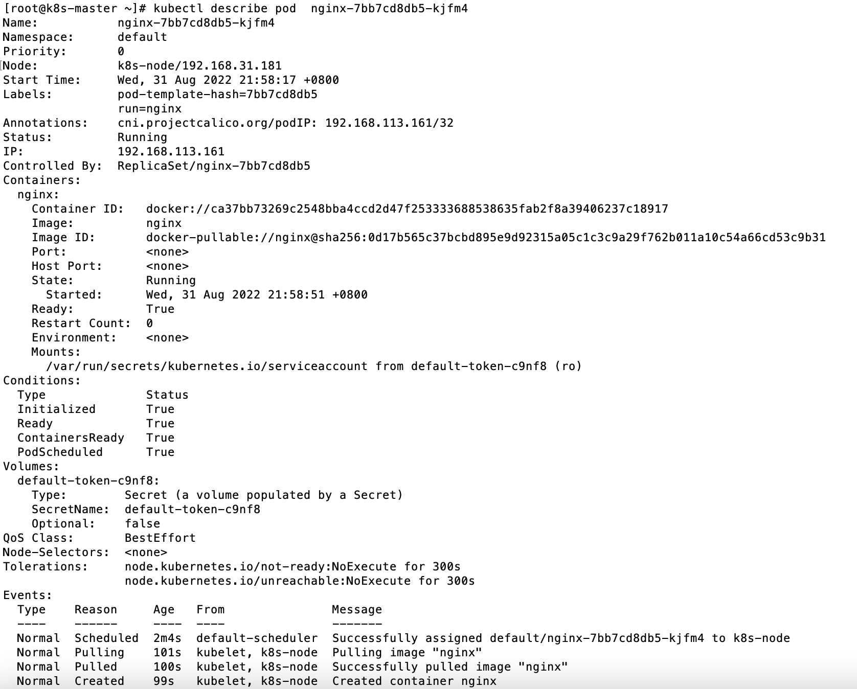 kubectl describe pod 