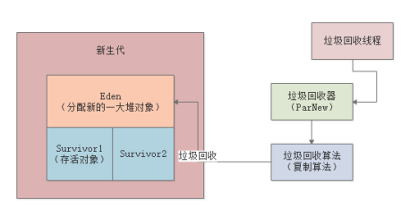 ParNew和CMS垃圾回收器